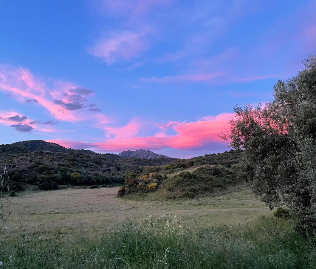 Nuit calme sur domaine Calcatoggio (Corsica) Exterior foto
