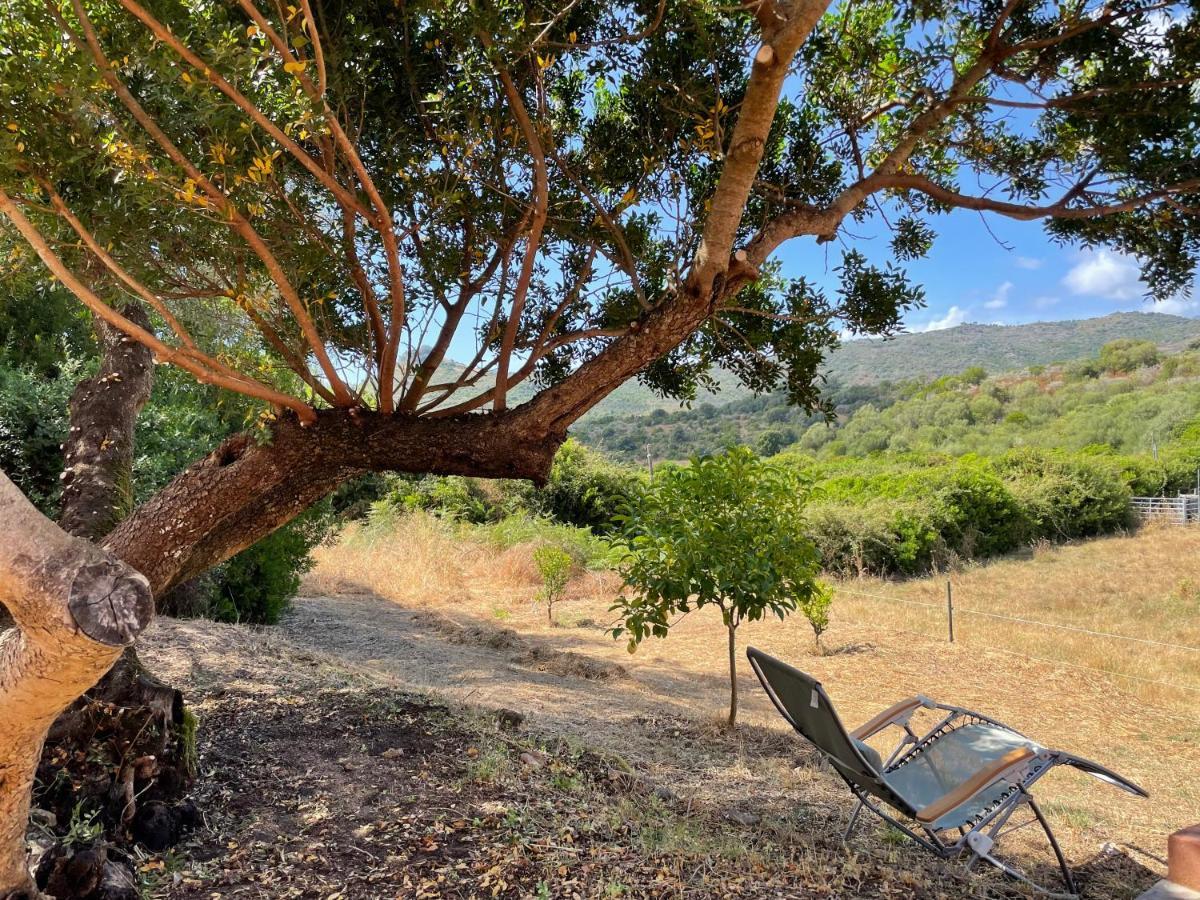 Nuit calme sur domaine Calcatoggio (Corsica) Exterior foto