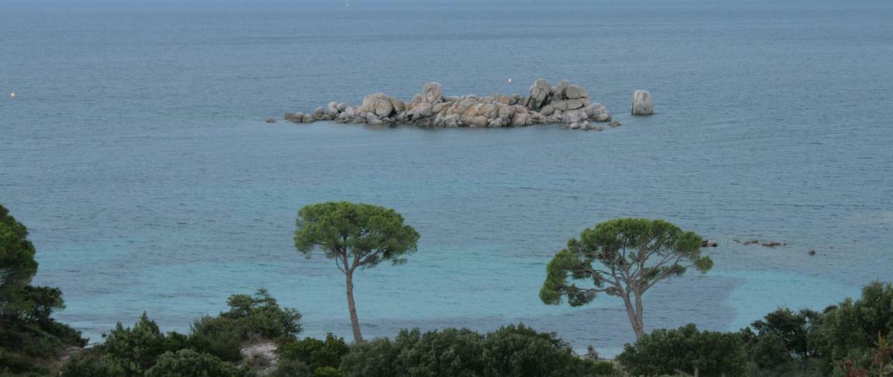 Nuit calme sur domaine Calcatoggio (Corsica) Exterior foto