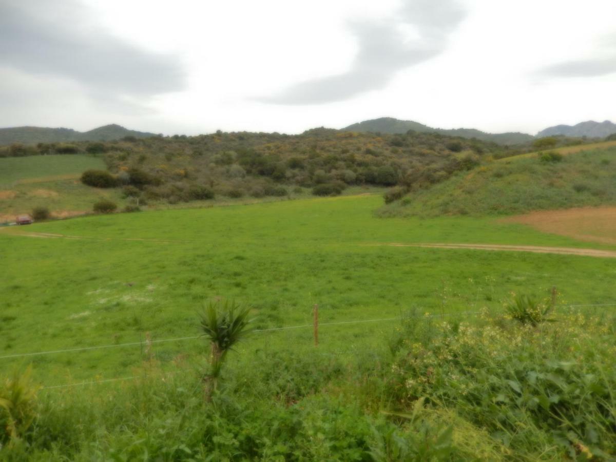 Nuit calme sur domaine Calcatoggio (Corsica) Exterior foto
